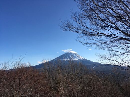 コース