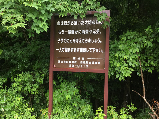 道