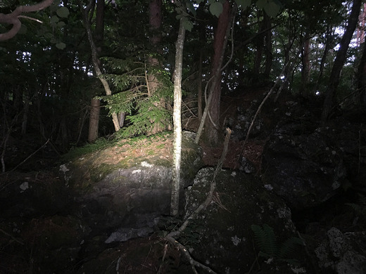 夜