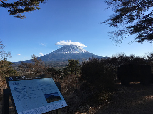 コース